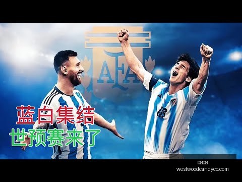 女排世界杯,赛程公布,中国女排首,开云官网,开云体育,开云全站,开云入口,开云代理