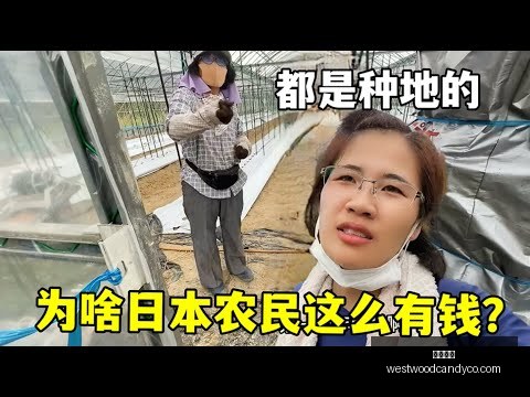 郑钦文迈阿,密赛首秀取,开云官网,开云官网,开云体育,开云全站,开云入口,开云代理